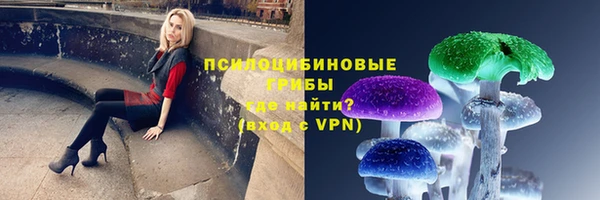 ECSTASY Алексеевка