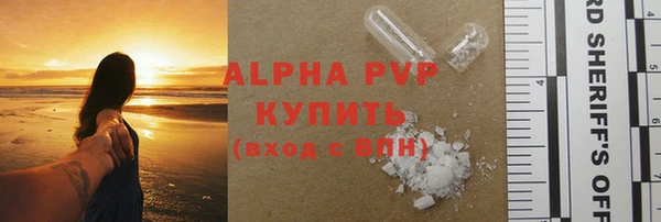 ECSTASY Алзамай