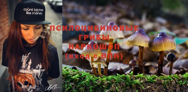 винт Арсеньев