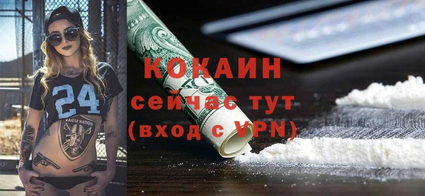 метадон Алексин